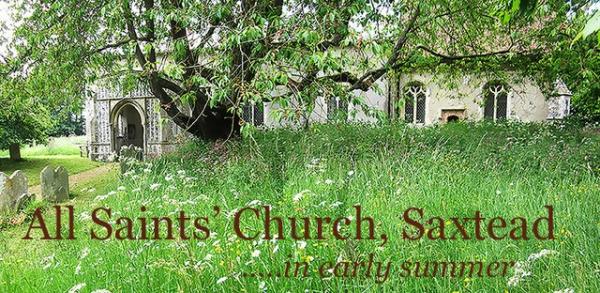 Saxtead Early Summer